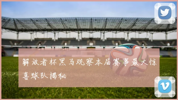 解放者杯黑马观察本届赛事最大惊喜球队揭秘