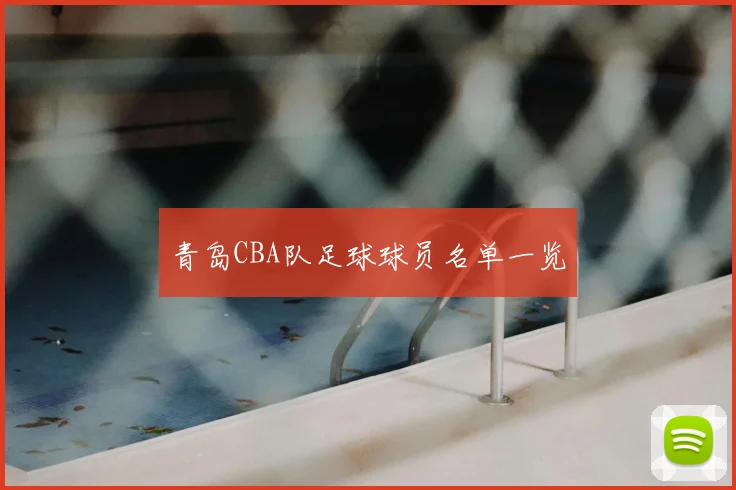 青岛CBA队足球球员名单一览