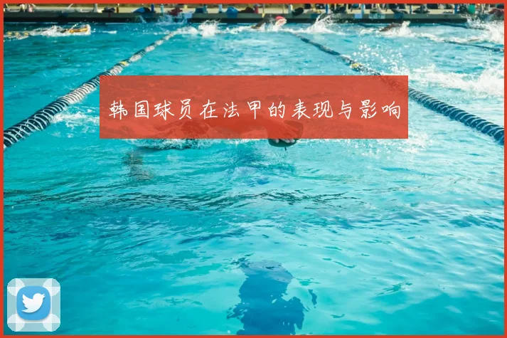 韩国球员在法甲的表现与影响