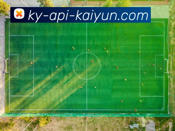 开云平台生态图