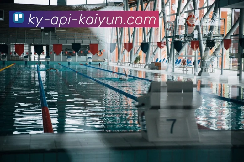 多媒体互动体验