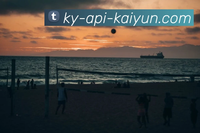 开云APP 高清赛事图